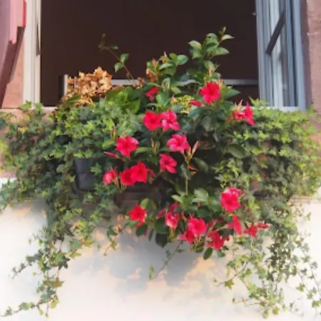 ホステル La E Bella *